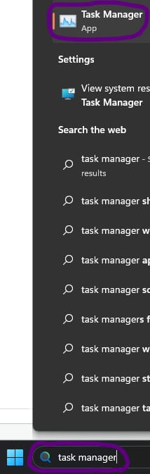 Search - Task Manager